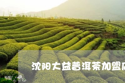 沈阳大益普洱茶加盟店/2023092584937