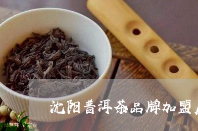 沈阳普洱茶品牌加盟店/2023092555279