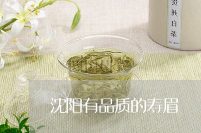 沈阳有品质的寿眉/2023090832718