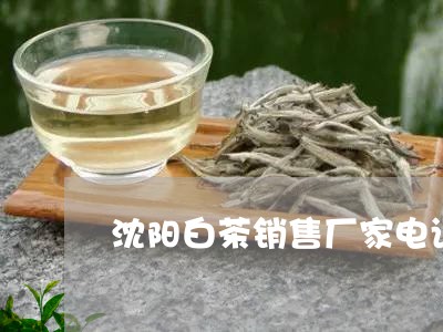 沈阳白茶销售厂家电话/2023100383838