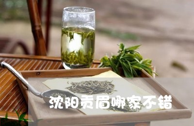 沈阳贡眉哪家不错/2023090798260