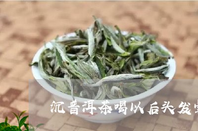 沉普洱茶喝以后头发晕/2023062130504