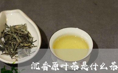 沉香原叶茶是什么茶邹记普洱茶/2023053096259