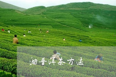 沏普洱茶方法/2023042715021