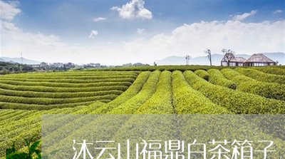 沐云山福鼎白茶箱子/2023082641614