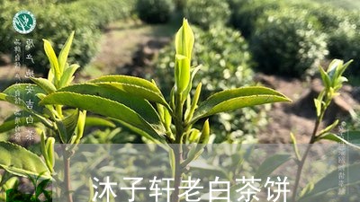 沐子轩老白茶饼/2023111733137