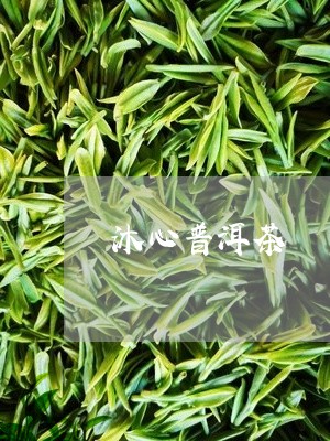 沐心普洱茶/2023081740524