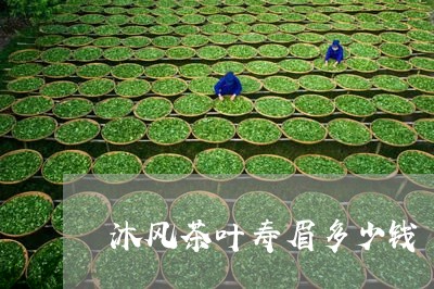 沐风茶叶寿眉多少钱/2023120481805