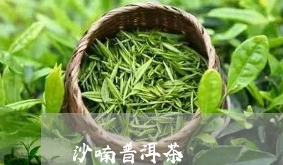 沙喃普洱茶/2023090658151