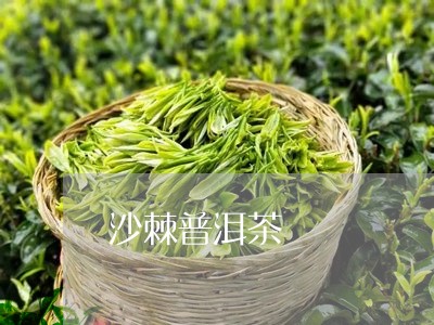 沙棘普洱茶/2023090694938