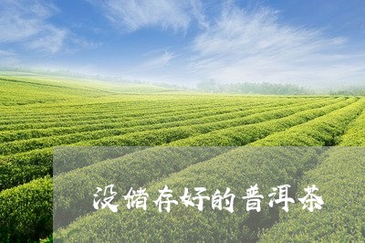 没储存好的普洱茶/2023121792725