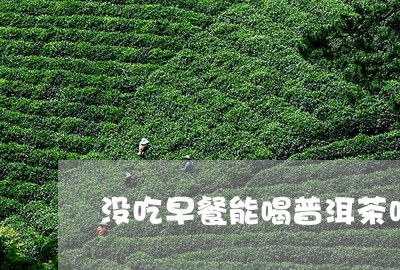 没吃早餐能喝普洱茶吗/2023092927493