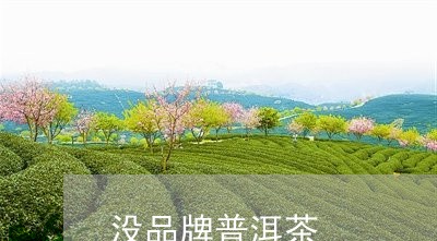 没品牌普洱茶/2023042870668