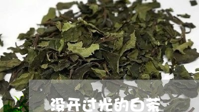 没开过光的白茶/2023060300473