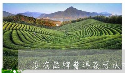 没有品牌普洱茶可以吗/2023062379516