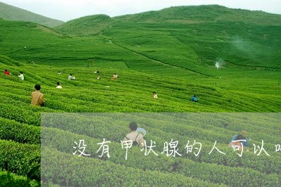 没有甲状腺的人可以喝红茶菌吗/2023060129481