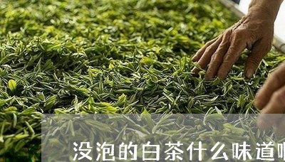 没泡的白茶什么味道啊好喝/2023111636960