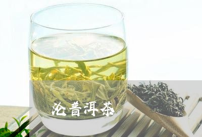 沦普洱茶/2023110853848