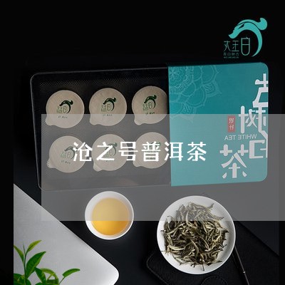 沧之号普洱茶/2023042955889