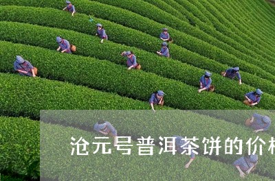 沧元号普洱茶饼的价格/2023061653615