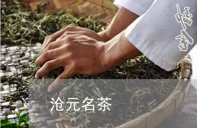 沧元名茶/2023110900505