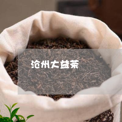 沧州大益茶/2023041711865