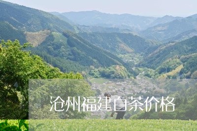 沧州福建白茶价格/2023090542716