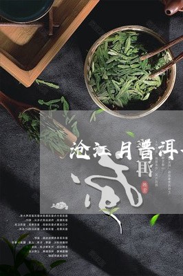 沧江月普洱茶/2023042753679