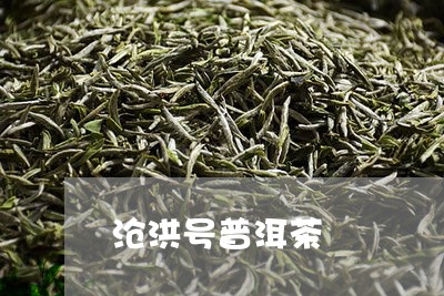 沧洪号普洱茶/2023042806858