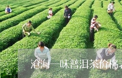 沧海一味普洱茶价格表/2023112488361