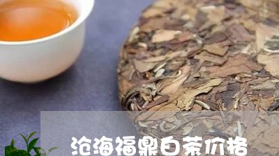 沧海福鼎白茶价格/2023090523388