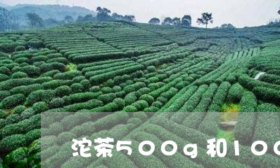 沱茶500g和100g的区别/2023053118371