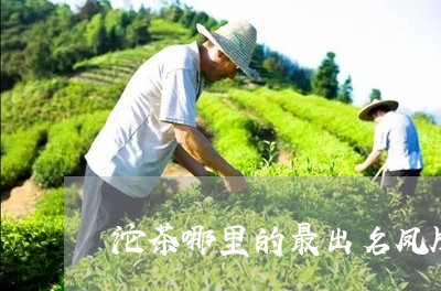 沱茶哪里的最出名凤牌特级沱茶/2023053137379