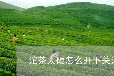 沱茶太硬怎么开下关沱茶怎么冲泡/2023060105050