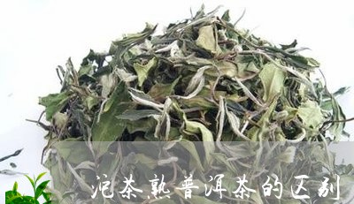 沱茶熟普洱茶的区别/2023080255049