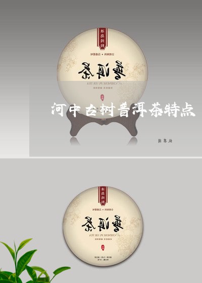 河中古树普洱茶特点/2023112727369