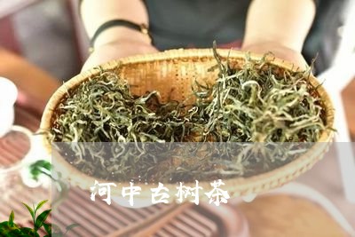 河中古树茶/2023041782276