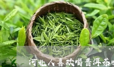 河北人喜欢喝普洱茶吗/2023072261696