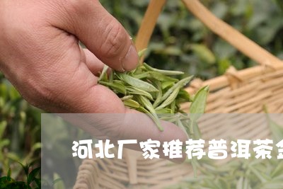 河北厂家推荐普洱茶金奖饼/2023082563947