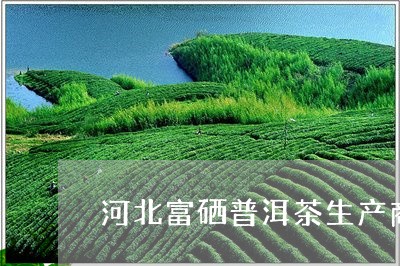 河北富硒普洱茶生产商/2023061905371