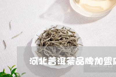 河北普洱茶品牌加盟店/2023092537460