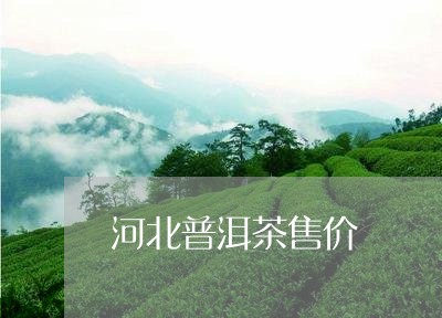 河北普洱茶售价/2023121706259