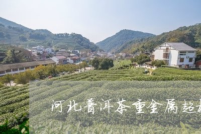 河北普洱茶重金属超标事件/2023110440716