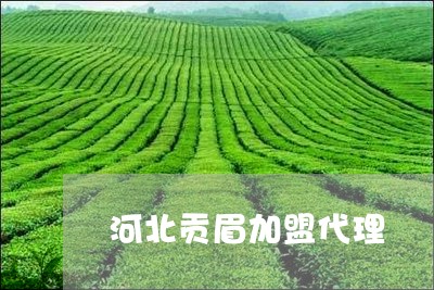 河北贡眉加盟代理/2023062360936