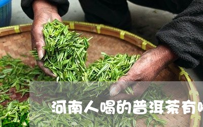 河南人喝的普洱茶有哪些/2023112526260