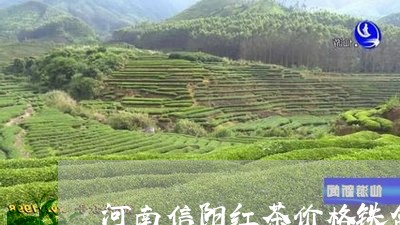 河南信阳红茶价格铁盒/2023071657040