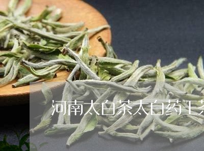 河南太白茶太白药王茶/2023100375959