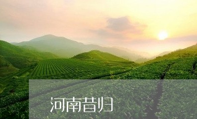 河南昔归/2023090136179