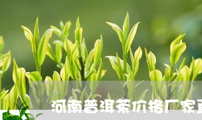 河南普洱茶价格厂家直销/2023122079602