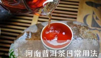 河南普洱茶日常用法/2023121756251